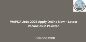 WAPDA Jobs 2025 Apply Online Now Latest Government Vacancies in Pakistan